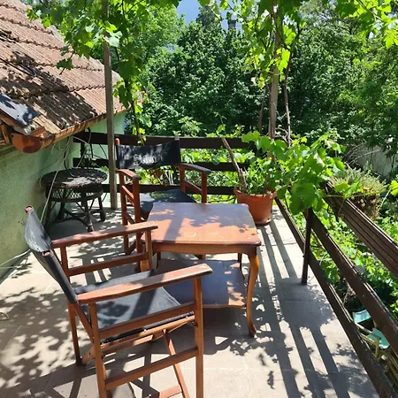 Garden Apartament Nowy Sad